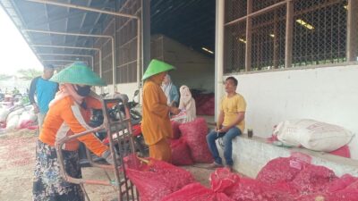 Harga Bawang Merah Anjlok, Pemkab Brebes Instruksikan ASN Lakukan Aksi Borong