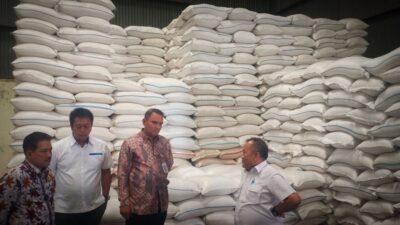 Beras Impor Masuk Indonesia Baru 1 Juta Ton, Pemerintah Masih Tunggu 800 Ribu Ton