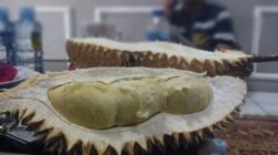 Manfaat Kesehatan Buah Durian