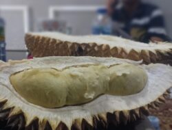 Sederet Manfaat Kesehatan dari Buah Durian, Si “Raja Buah” yang Luar Biasa