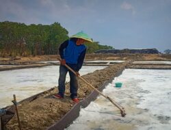 Sempat Naik, Harga Garam Brebes Anjlok di angka Rp 950 per Kg
