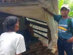 Lansia Rawat Anaknya 15 Tahun Gangguan Jiwa, Rumah Ambruk Tinggal di Kandang Sapi di Brebes