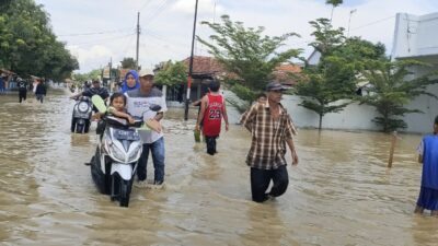 Banjir Losari Akibat Tiga Titik Tanggul Sungai Cisanggarung Jebol, 8 Desa di Brebes Terendam