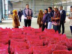 Harga Bawang Merah Mahal, Satgas Pangan Mabes Polri Cek Pasokan di Brebes, Begini Hasilnya