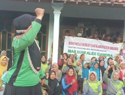 Giliran Buruh Tani Deklarasi Dian Alex Chandra Petani Bawang Maju Nyalon Bupati Brebes