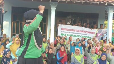 Giliran Buruh Tani Deklarasi Dian Alex Chandra Petani Bawang Maju Nyalon Bupati Brebes