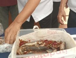 Selundupkan Obat Terlarang di dalam Perut Ikan Masakan ke Lapas Brebes, Pemuda asal Pekalongan Ditangkap