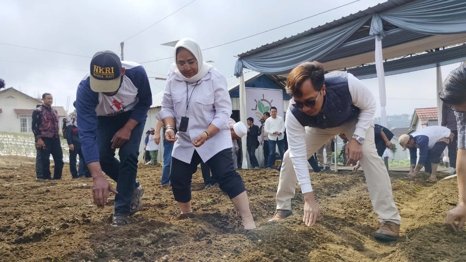 Kementan Tanam Kentang