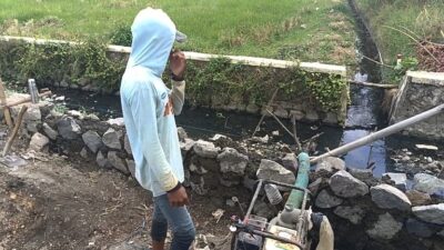 Petani Siram Tanaman dengan Air Comberan