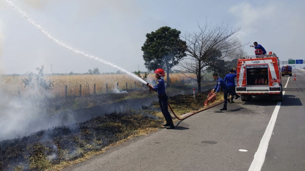 Kebakaran Lahan Tol