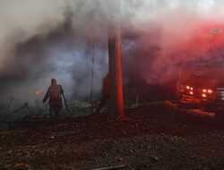 30 Ribu Ekor Anak Ayam Terpanggang Akibat Kandang Terbakar