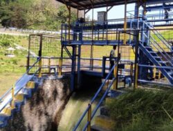 Volume Air di Waduk Malahayu Susut, Petani di Brebes Keluhkan Kesulitan Pengairan