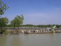 Akibat Abrasi, Puluhan Hektar Tambak di Pesisir Losari Brebes Diterjang Banjir Rob