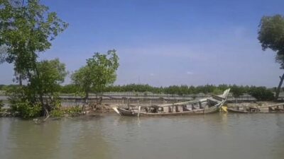 Banjir Rob Losari Brebes