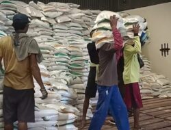 Bulog Bakal Datangkan 1,2 Juta Ton Beras Impor, Target Masuk RI Sebelum Desember 2024