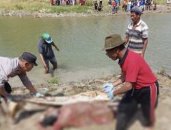 Dikira Boneka, Warga Larangan Brebes Kaget Ternyata Mayat Wanita Terapung di Sungai