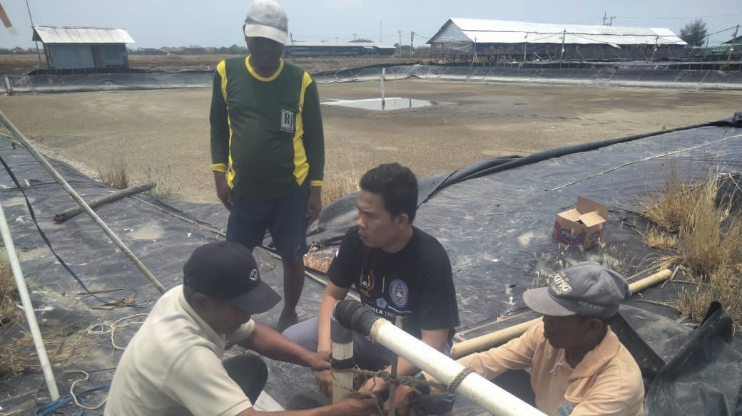 Budidaya Udang Terdampak Cuaca Ekstrem