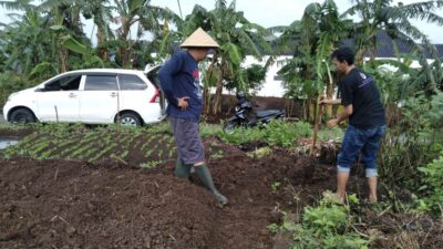 Cara Daftar Program Petani Milenial 2024