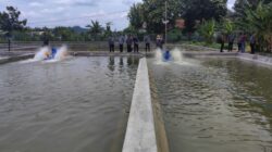 Rehabilitasi Kolam dan Saluran Balai Benih Ikan di Malahayu Brebes Senilai Rp 1,2 Miliar Akhirnya Rampung