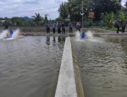Rehabilitasi Kolam dan Saluran Balai Benih Ikan di Malahayu Brebes Senilai Rp 1,2 Miliar Akhirnya Rampung