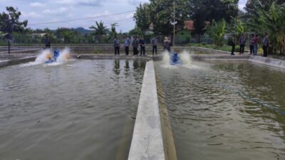 Balai Benih Ikan Malahayu