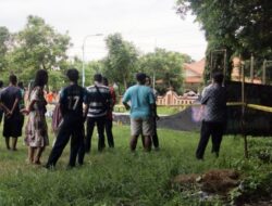 Pria Tewas saat Main Skateboard di GOR Brebes, Lintasan Tak Layak Dibuat dari Semen-Terkelupas