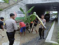 Protes Jalan Rusak di bawah Kolong Tol, Warga Rancawuluh Brebes Tanam Pohon Pisang
