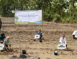 Wujudukan Ketahanan Pangan-Energi, PLN EPI Tanam 10 Ribu Tanaman Energi di Brebes