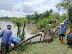 Waspada! Tanggul Sungai Pemali Brebes Kritis dan Rawan Jebol di Beberapa Titik