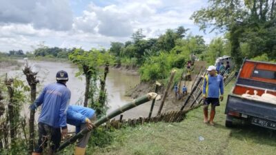 Waspada! Tanggul Sungai Pemali Brebes Kritis dan Rawan Jebol di Beberapa Titik