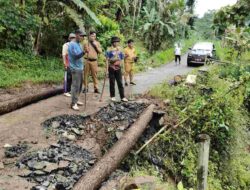 Jalan Penghubung Wanoja-Capar di Salem Brebes Amblas dan Longsor di Empat Titik