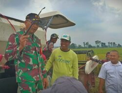 Bulog Dikawal TNI Beli Gabah Petani di Brebes, Larang Tengkulak Beli Murah