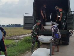 Serap Gabah Petani, Truk Kodim 0713/Brebes Angkut 20 Ton Hasil Panen di Kersana