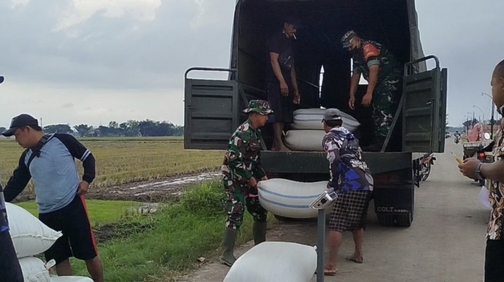 Serap Gabah Petani