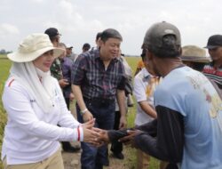 Tarik Investor Bidang Pertanian, Wakil Ketua Komisi IV DPR RI Fraksi PDIP Kunjungi Brebes