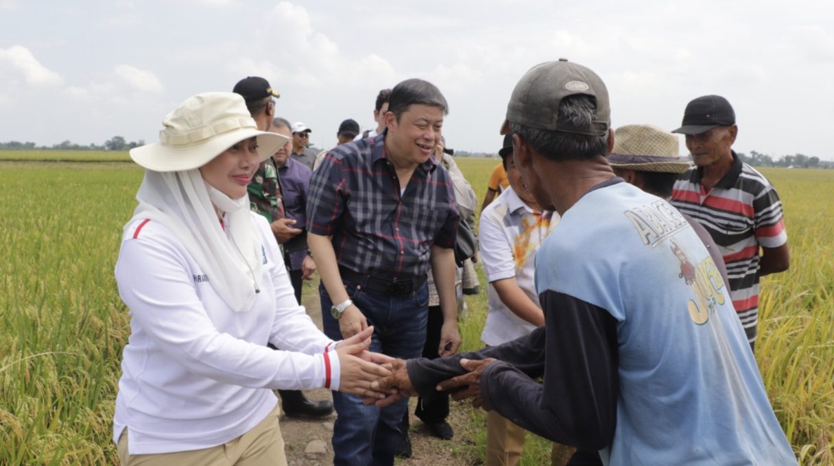 Investor Pertanian Kunjungi Brebes