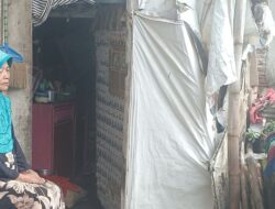 Janda Lansia dan Dua Cucu Tinggal di Gubuk Reyot di Pusat Kota Brebes, Bupati Turun Tangan