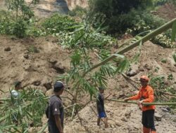Tanah Longsor di Brebes Selatan: Lansia Hilang Tertimbun Material, Proses Evakuasi Terkendala Medan