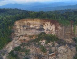Pencarian Lansia Korban Longsor di Tonjong Brebes Masih Nihil, Seluruh Tim Dikerahkan