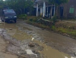 Ruas Jalan Cikeusal-Pamedaran Brebes Rusak Parah, Warga Desak Segera Diperbaiki