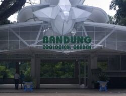 Masalah Parkir Liar di Bandung Kian Marak dan Dikeluhkan, Pemkot Janji Tindak Tegas