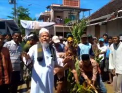 Kiai Pimpin Protes Jalan Rusak di Brebes, Bawa Cangkul dan Tanam Pohon Jagung di Jalan