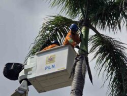 Maknai Hari Buruh, Petugas PLN Tegal Giat Laksanakan Perabasan Pohon di Tegal