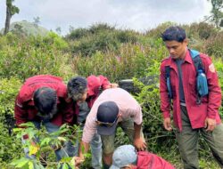 “Jaga Rimba”, Menjaga Nalar Manusia: Kisah Perlawanan Pembalakan Hutan Lindung Lereng Gunung Slamet