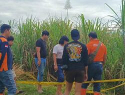 Misteri Kematian Janda Muda di Kebun Tebu Ketanggungan Brebes Terungkap, Begini Kata Polisi
