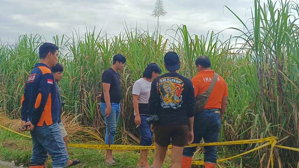 Misteri Kematian Janda di Kebun Tebu