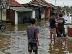 Ribuan Rumah dan Ratusan Hektar Tambak di Losari Brebes Terendam Banjir Rob