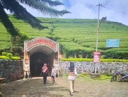 Gua Jepang di Kebun Teh Kaligua Brebes Jadi Wisata Edukasi Mengenalkan Zaman Romusha