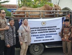 Presiden Prabowo Serahkan Sapi Kurban 1,1 Ton untuk Warga Bumiayu Brebes