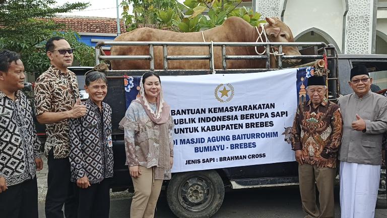 Sapi Kurban Presiden Prabowo
